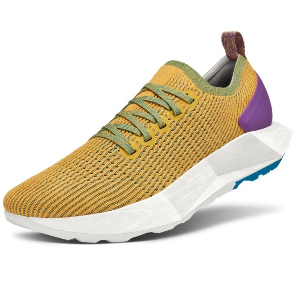 NEW Men's Allbirds Tree Flyer 1 sneakers